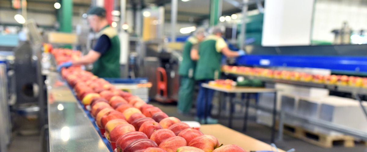 Sécurité alimentaire : mise à jour du référentiel FSSC 22000